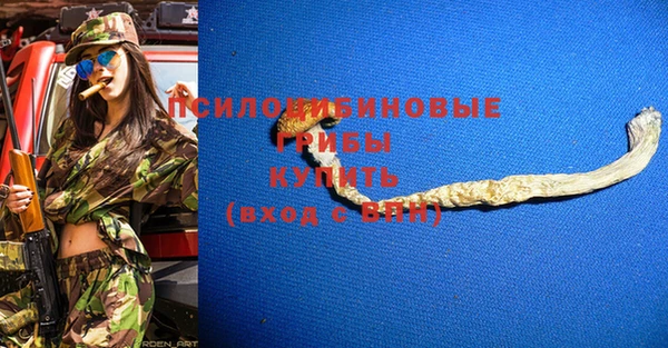 молекула духа Алексеевка