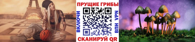 Купить  Тверь  Псилоцибиновые грибы GOLDEN TEACHER 