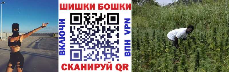 Купить где  Тверь  Канабис марихуана 